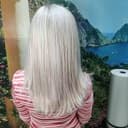 Double Process Root to Tip